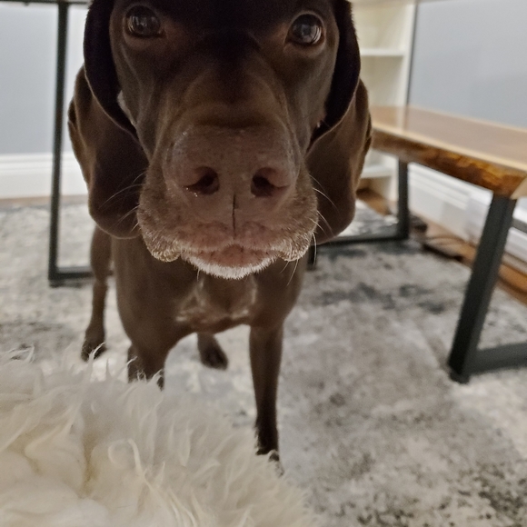 Meet your Posher, Catherine - Picture 1 of 1